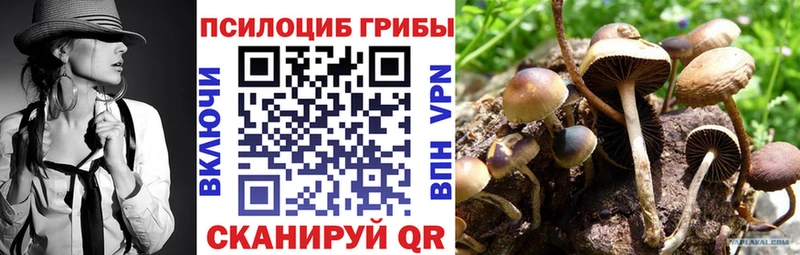 Купить Ялуторовск Галлюциногенные грибы мицелий